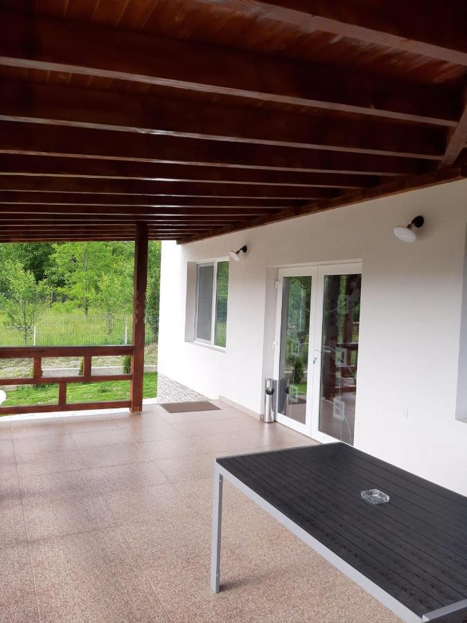 Casa Dumitru 호텔 Ceraşul 외부 사진